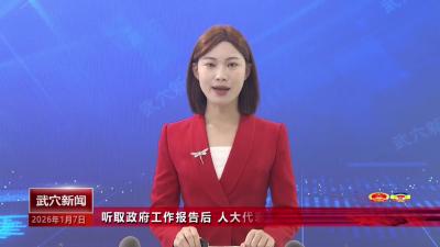 听取政府工作报告后 人大代表们深感振奋