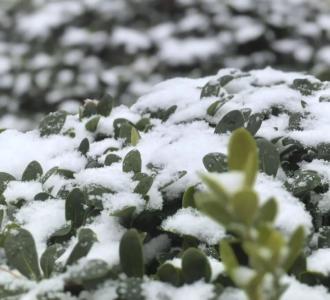 初雪遇温情！武穴硬核守护上线，民生暖意直接拉满