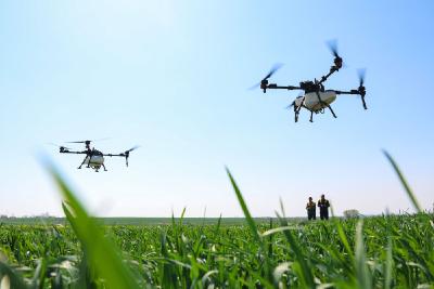 “鱼米之乡”万象新