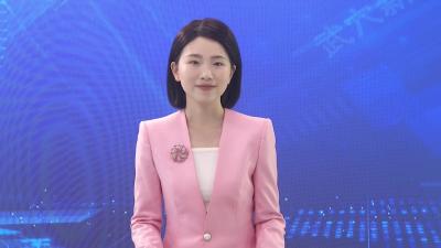 龙坪镇：凝聚人大代表力量  共创产城同兴引擎