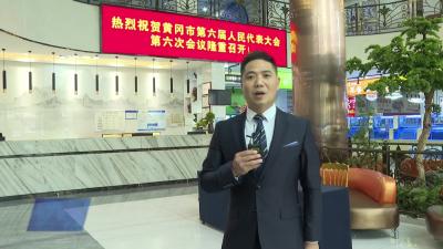 聚焦黄冈两会 携民意 献良策  武穴代表团向大会报到！