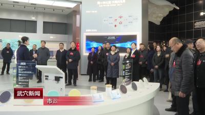 市政协委员视察民生实事项目
