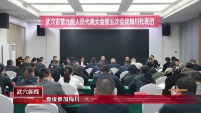 查俊参加梅川、大金代表团审议