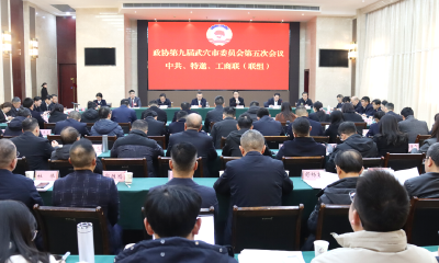 查俊参加市政协九届五次会议联组讨论