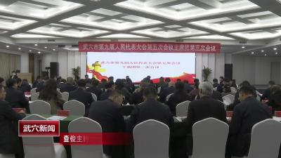 查俊主持召开市九届人大五次会议主席团第三次会议