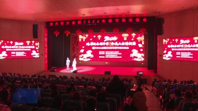大金镇 2026 年春节联欢晚会浓情上演