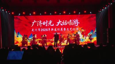 大金镇专场文艺汇演点亮“广济时光·大话嘻游”新春灯展