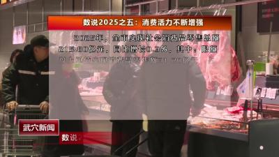 数说2025之五：消费活力不断增强