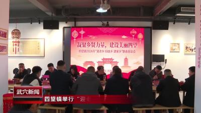 四望镇举行“迎老乡、回故乡、建家乡”新春恳谈会