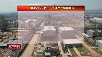数说2025之三：工业生产持续稳定