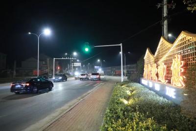查俊督导船舶产业园建设和路域环境整治工作