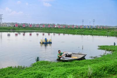 解密潜江龙虾滋味：推出128种口味，去当地吃虾游客年超三百万