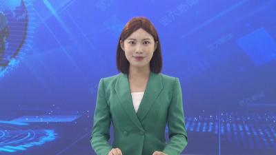 2026年武穴市“荆楚购”正街新春惠民促消费活动拉开帷幕