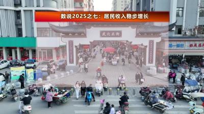 数说2025之七：居民收入稳步增长