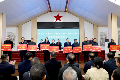 全市乡村振兴“千万工程”建设行动现场推进会召开