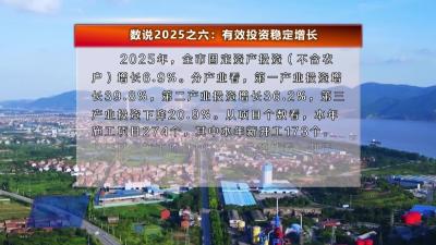 数说2025之六：有效投资稳定增长