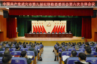 查俊：以更高标准更实举措推进全面从严治党 为武穴加快建设“一区四基地”提供坚强保障