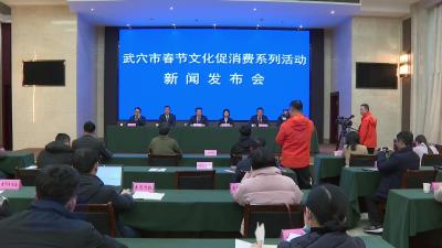我市举行春节文化促消费系列活动新闻发布会