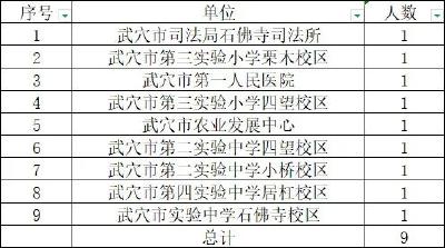 武穴交通秩序专项整治最新曝光！9名公职人员“上榜”