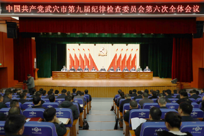 市纪委九届六次全会强调：以更高标准、更实举措推进全面从严治党 为在支点建设中当好黄冈排头兵提供坚强保障
