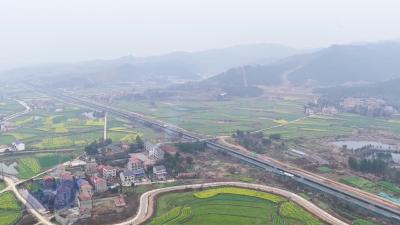 从“一处美”到“处处美”：武穴用万千新绿书写生态答卷