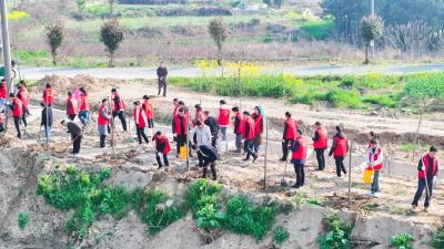 植绿向未来！武穴市掀起春季植树热潮（二）