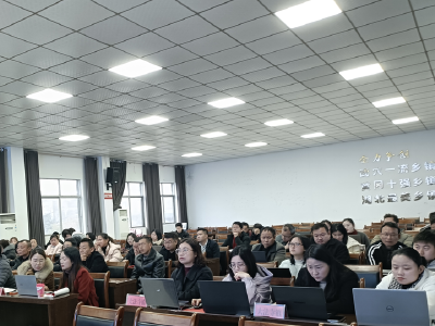 数字红利惠民生 大法寺镇解锁基层治理“智慧密码”