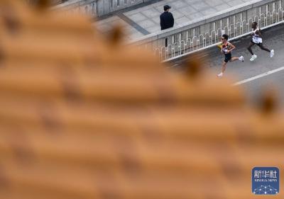 春日江城 樱花漫道 2026武汉马拉松开跑