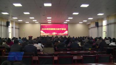 四望镇：建设现代化农业强镇 奋力绘就和美新画卷