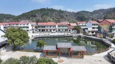 推窗见绿出门见景，武穴这个塆组到底有多让人羡慕？