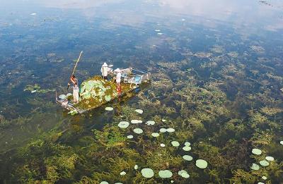 锚定保Ⅳ争Ⅲ 洪湖“浪打浪”气象新