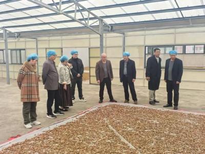 这才是顶流！ 刊江乡贤郑元盛，用实业给家乡发展“充上电”！