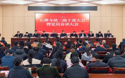 擂响战鼓！武穴各镇街道三级干部大会吹响冲锋号（下篇）