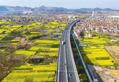 1.5小时直达！鄂东高速畅通武穴万亩花海