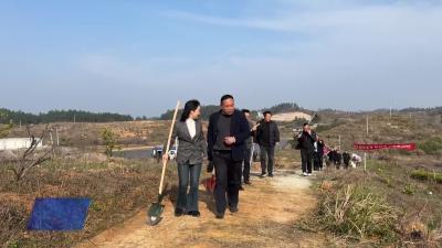 四望镇开展2026年义务植树活动 干群携手栽下“致富林”