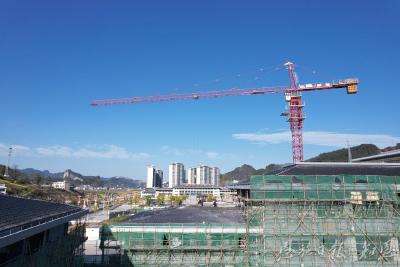 武陵春早茶事忙