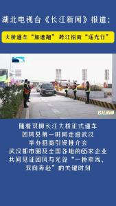 团风：大桥通车“加速跑” 跨江招商“逐光行”