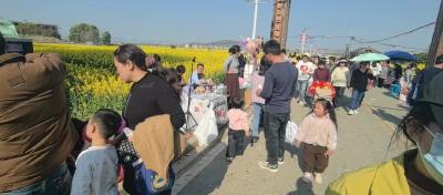 花海未启人先涌，上桂村靠什么接住这波“泼天流量”？