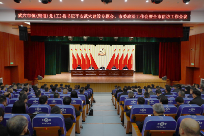 查俊出席全市平安稳定工作综合会议