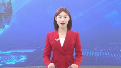 我市集中收听收看黄冈市群众身边不正之风和腐败问题集中整治工作推进会