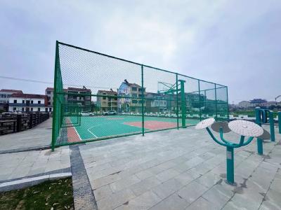 从“烦心垸”到“幸福园”！农水集团让高湖社区陈楼垸焕新颜