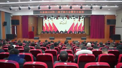 大金镇：狠抓七项重点 努力打造“三镇”