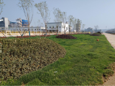 不止有产值，更有颜值！武穴这家企业把工厂搬进了“花园”里