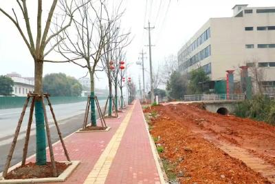 查俊督导城市更新工作