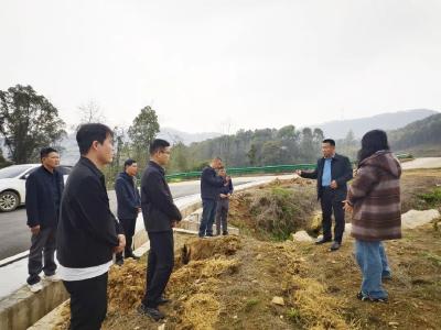 梅川镇为何直奔两镇？乡村振兴的“产业密钥”在这里揭晓