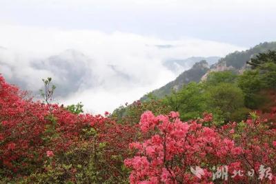 麻城，向上！
