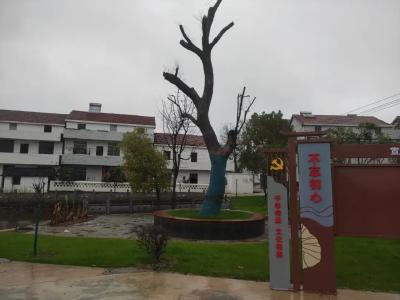 实干绘新景！余川汪垅村向“千万工程”精品村迈进