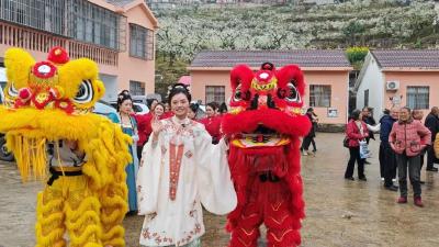 春分日的高潮村：一朵花，两次“绽放”