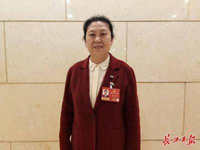 “我们要有高志气、高目标、高追求” ——全国两会代表委员共话武汉“高地”建设