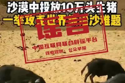 网传库布其沙漠“10万头黑猪让沙漠变绿洲”不实（2026·04·13）
